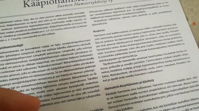 ПОКОРМИЛА ХОМЯКОВ ЖИВЫМИ ЧЕРВЯМИ? | Кормление Хомяков ? | Отвечаю на Вопросы | Родословная Хомяков