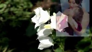 Мой колокольчик озорной,мой лучик солнца золотой