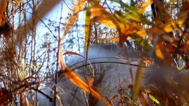 Плывем в траве смотреть онлайн