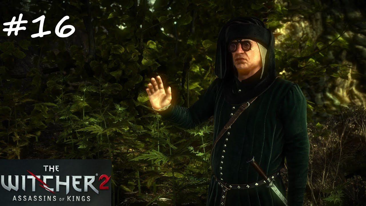 ВЕДЬМАК 2: УБИЙЦЫ КОРОЛЕЙ (Без комментариев). Прохождение. #16. Глава 1. В когтях безумия