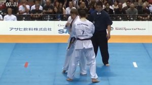 Aleksandr Eremenko Career highlights Александра Еременко
