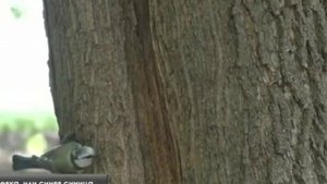 ВСЯ ПРАВДА О КАНАЛЕ БЫТЬ ДОБРУ и ИХ ЗАРАБОТКИ НА СТАРИКАХ И ИНВАЛИДАХ