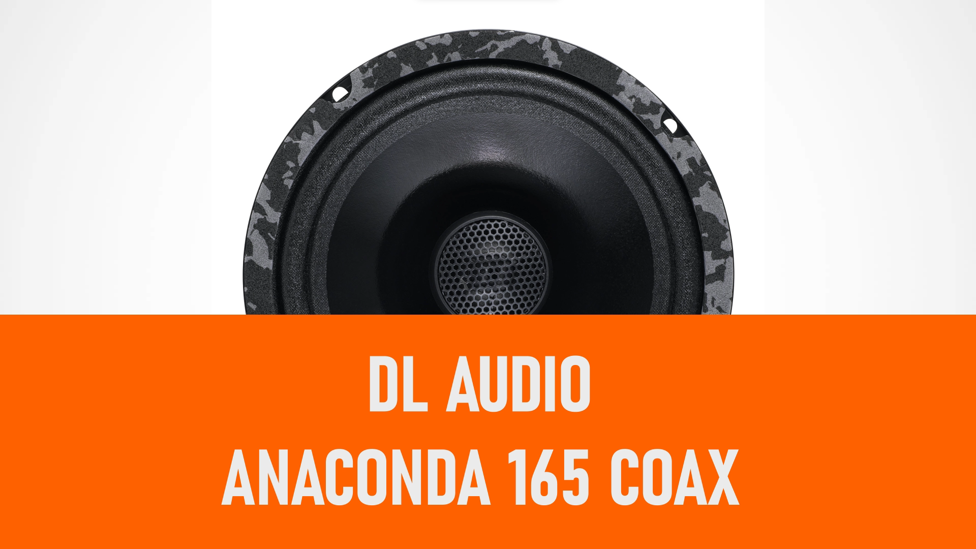 Распаковка динамиков DL Audio Anaconda 165 Coax