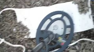 Metal Detecting with my Garrett GTAx 550