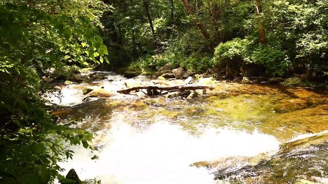 Продолжение прогулки от 03 июля 2022 г. Ворошиловские водопады Приморский край Затерянный Рай