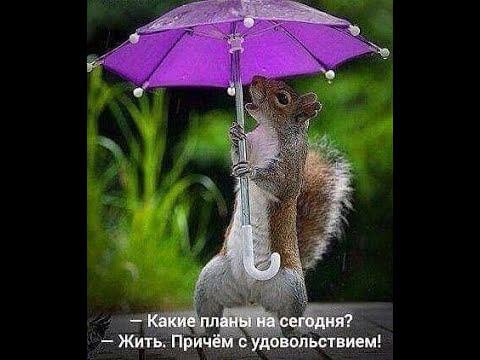 #тарорасклад: ПРОГНОЗ НОЯБРЯ 2022.