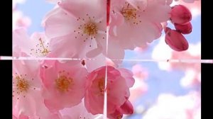 8 Марта - Мистер Кредо