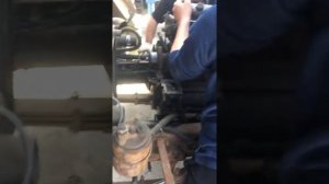 Ставим д 245 на маз зубрёнок