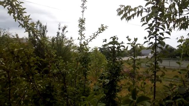 13-07-17. 10й трен.день. Программа велотренировки "100 миль в день за 12 недель" смотреть онлайн