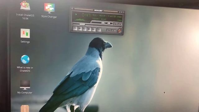 P5gc-mx MercadoLivre смотреть онлайн