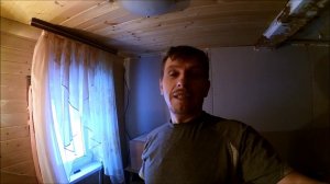 Инкубация перепелов / Начало вывода / Инкубатор Блиц 48 Ц
