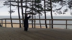 Лариса Шашина. 48 форм меч цзянь Чэньши Синьи Хуньюань Тайцзи по линии грандмастера Фэн Чжицяна