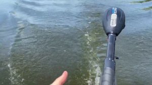 Haswing Osapian 30 & Kolibri K250