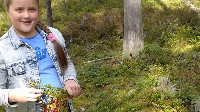 Собираем грибы.Лен.обл. ж.ст. Яппиля.Озеро Зеркальное. смотреть онлайн