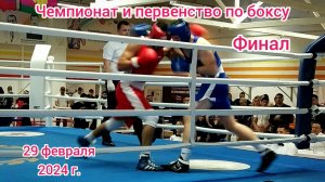 Краснодар - Финал Чемпионата и Первенства Краснодарского края по боксу - 29 февраля 2024 г.