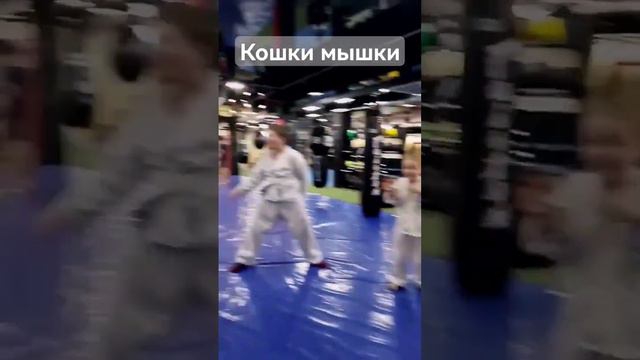 Игра в кошки мышки