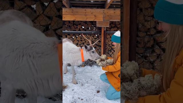 Туры в Мурманск, на Кольский полуостров