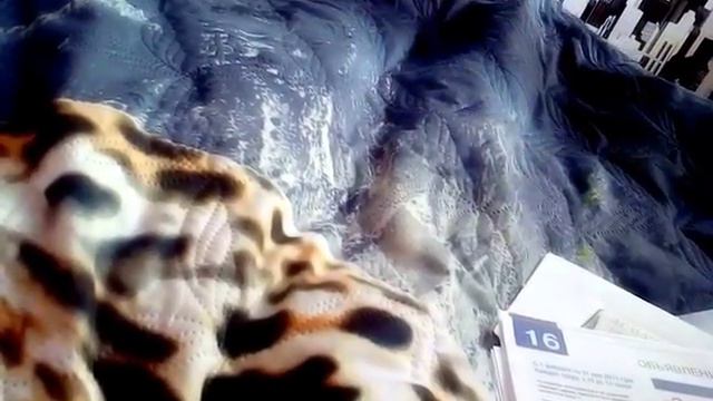 Найди Кота - Твиксуна 😅 смотреть онлайн