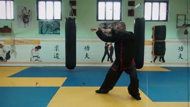 Тайцзицуань   24 формы стиля  Ян.