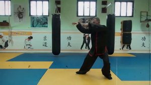 Тайцзицуань 24 формы стиля Ян.
