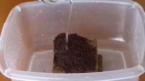 Кокосовый субстрат для посадки растений