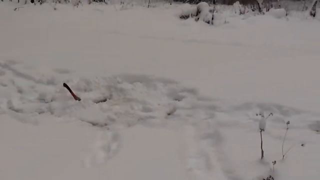 БОЛОТО ПРОДОЛЖАЕТ РАДОВАТЬ ЩУКАМИ #19 смотреть онлайн