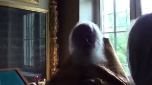 22. Отец Валериан Кречетов 28.06.14