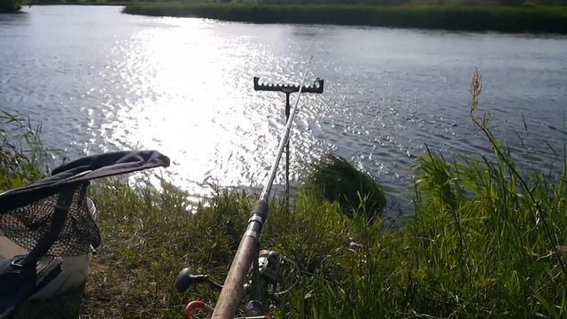 Рыбалка летом с ночевкой. Лещ на фидер. Видео из архива. смотреть онлайн