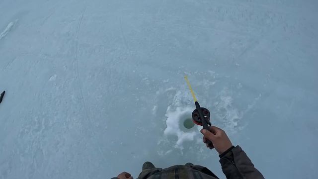 Отличный день на рыбалке! Трофейный хариус на удочку смотреть онлайн