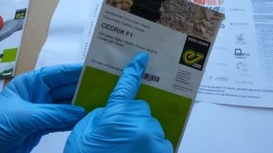 Седрик F1 семена партенокрапического огурца (Enza Zaden), Антифейк  Часть 6