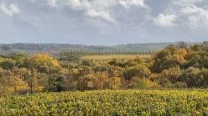 Долина Лефкадия / Краснодарский край  / Ноябрь / 2020 /Valley of Lefkadia / November / 2020 / Russi