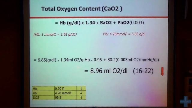 Искусственная вентиляция лёгких. Интерпретация показателей газов крови смотреть онлайн