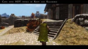 Another Skyrim Mod Feature #29