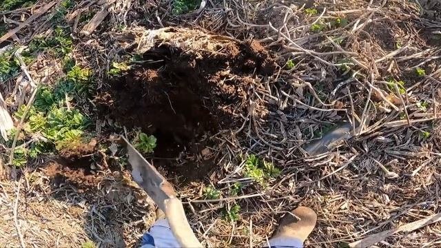 ПОЛ ТОННЫ ЛЕЖИТ ПРОСТО В ПОЛЕ СССР МЕТАЛЛА|КОП МЕТАЛЛОЛОМА|ЗАРАБОТАЛ НА МЕТАЛЛОКОПЕ