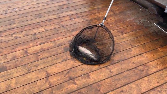 Рыбалка в Марлине смотреть онлайн