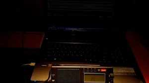 Еще голосовые фишки Tecsun PL-990