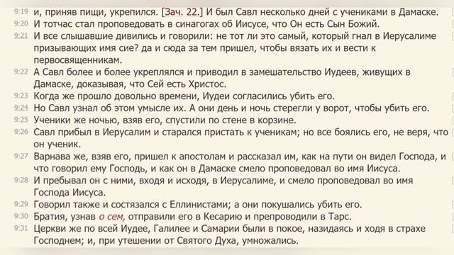 Деяния Апостолов с комментариями, 9 глава 19 - 31 стихи. (иерей Михаил Литвищенко) смотреть онлайн