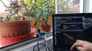 My First Steps in Gardening with Raspberry Pi