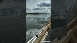Яузское водохранилище. д. Савино, Смоленская область, Кармановский район.