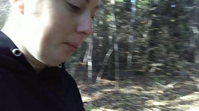 Грибное ассорти//Грибов не мерено//Масса впечатлений . смотреть онлайн