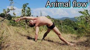 Animal flow yoga without word