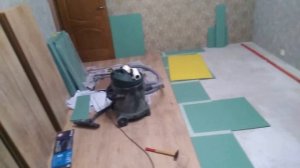 Ламинат Таркетт 14мм. Укладка по инструкции). И горе специалисты.