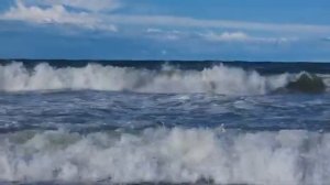 ШОК! СРОЧНО! ЧЕСТНЫЙ ОТЗЫВ #АНАПА ОЗАРОВСКИЙ МОШ***ИК. АФ***СТ  ОЧЕНЬ ПЛОХО #Витязево