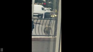 Типичный бандеровец, который получил зарплату и на радостях чем-то закинулся