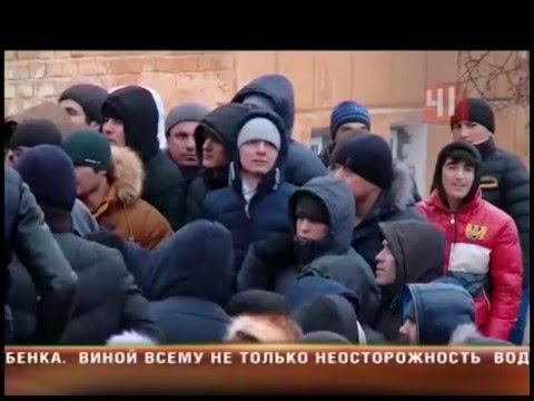 Приезжие разбушевались
