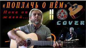 Поплач о нём-ЧАЙФ-guitar Cover