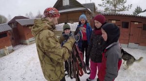 ВОЛЬЕР ШЛЕЙКИ ЗАПРЯЖЕНИЕ