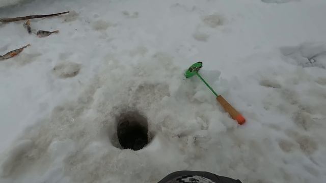 +18! ПОВЕСИЛ СИНЕГО МАЛЬКА и НАЛОВИЛ ОКУНЕЙ КАБАНОВ! смотреть онлайн