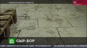 Сырная косичка подсоленная потом работников