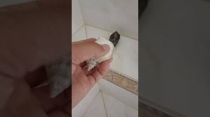 Мои летние приключения